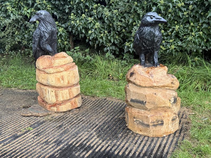 Pair of carved ravens on stumps — chainsaw carving by Woodaknot chainsaw carving & sculpting