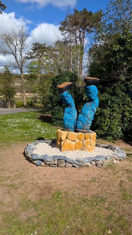 upside-down figure legs in well sycamore stump renovation — chainsaw carving by Woodaknot chainsaw carving & sculpting